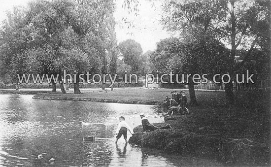 Pond on the Green, Theydon Bois. Essex.(13.5.1905)
